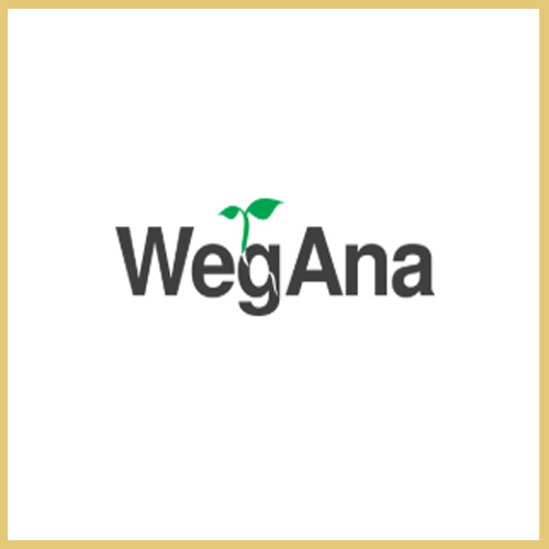 Logo WegAna